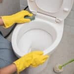 How To Clean A Toto Toilet: Step-by-Step Guide